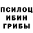 Галлюциногенные грибы MAGIC MUSHROOMS PRIKOL ###