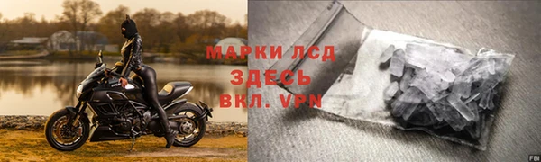 твердый Лагань