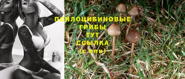 твердый Лагань