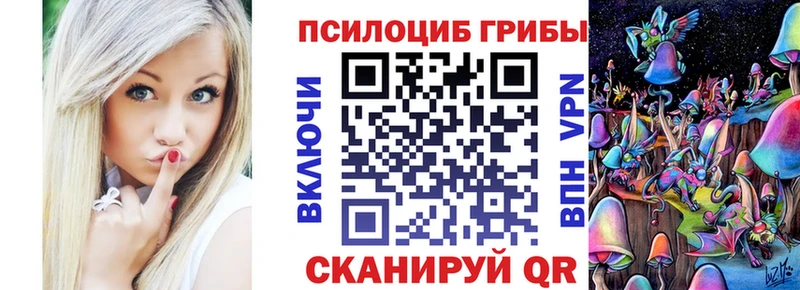 продажа наркотиков Темников Псилоцибиновые грибы прущие грибы